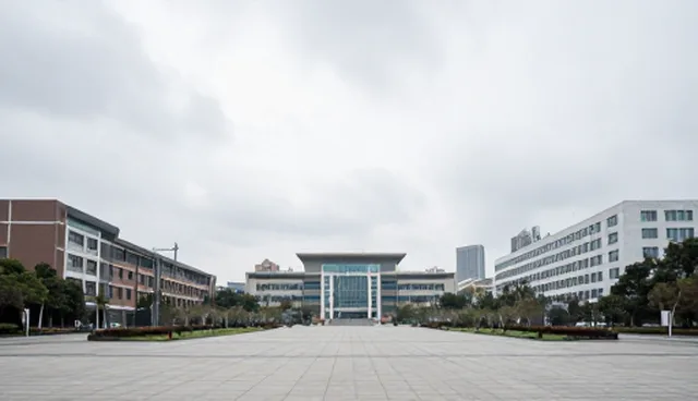 行业分类目录如何支撑内容策略的数据更新